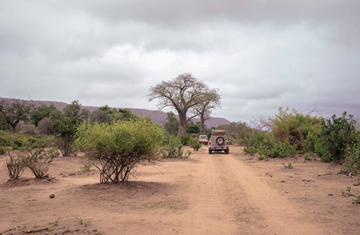 Banhine National Park, Gaza Province, Mozambique